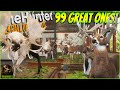 INSANE 7300 Hour Trophy Lodge Tour With 99 Great Ones 15 Super Rares Call Of The Wild INSANE 7300 Hour Trophy Lodge Tour With 99 Great Ones 15 Super Rares Call Of The Wild