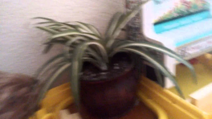 ep 1 season 1 (Alyssa Pugh)