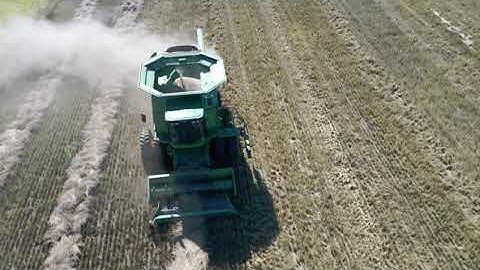 Combining Kernza (2021)