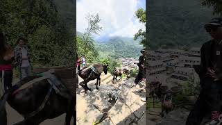 #pokhara #ghandruk