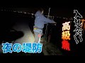 鳥の海は夜に魚が集まるのじゃ。