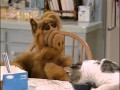 Alf  german  deutsch  alf und das slt sandwich