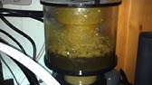 bubble magus skimmer c 6 h 2 ocean bio pellets reactor youtube