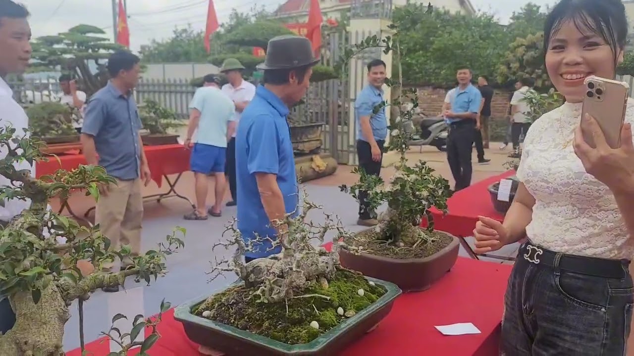 Những lời chia xẻ kỹ thuật chăm sóc tạo tác những tác phẩm quý 