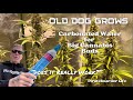 Odgs carbonated water for big cannabis budsbroscience or does it really work fc3000 in a 2x2