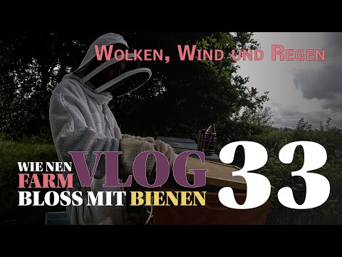 Imkern bei Sch**Wetter - Honigt es noch? - VLOG 33 // Wie nen #Farmvlog bloß mit Bienen