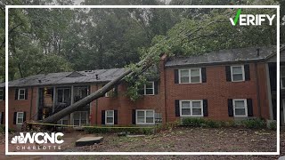 Who's responsible if a neighbor's tree falls on your property? Let's verify