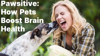 Unleashing Happiness: The Brain Benefits of Having a Pet