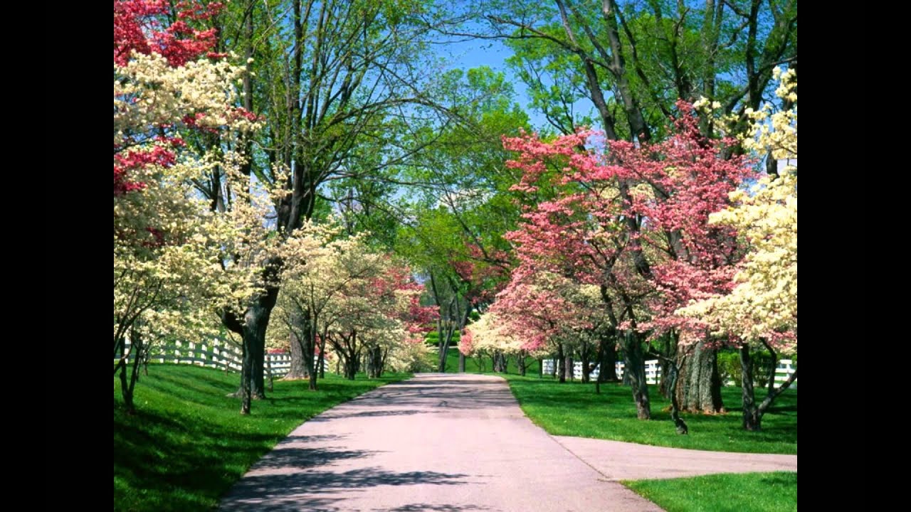 Jesus Came to Give Us Life, Abundantly