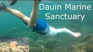Dumaguete Vlog || Snorkeling At Dauin Marine Sanctuary