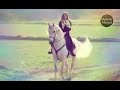 خيل أصيل إبراهيم 