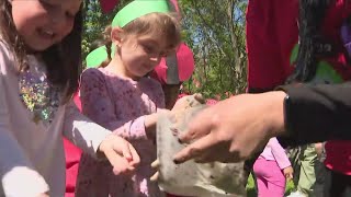 Ladybugs at Chesterbrook Academy Preschool | Nightcap