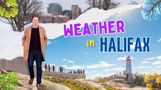 Halifax WEATHER : WHAT are the 4 Seasons like in Halifax?