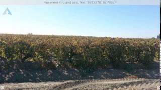 $375,000 - 0 West Shaw Ave, Kerman, CA 93630