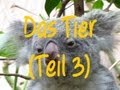 Learn German: Das Tier (Teil 3)