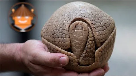 ¿Cuál es el enemigo natural del armadillo?