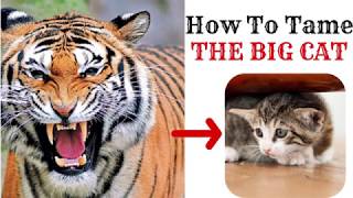 Shortcuts To Approach Quant Problems Of Cat 2018 Slot 1 Cat 2019 Preparation