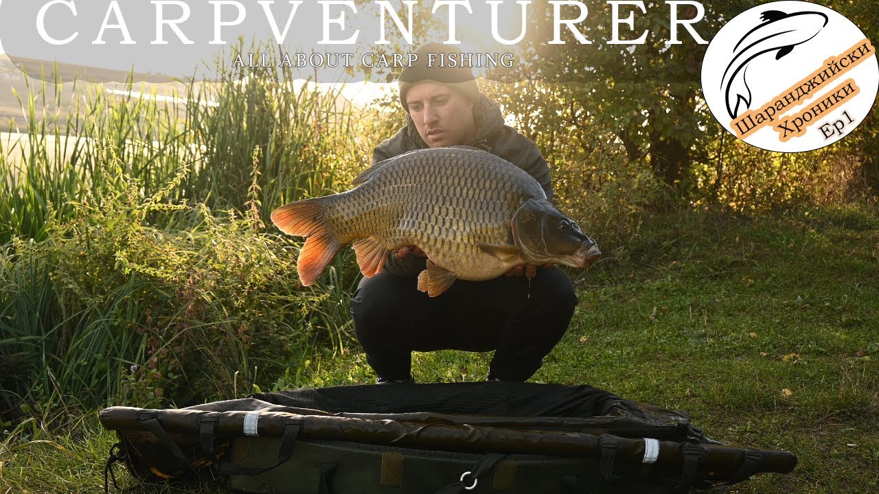  Шаранджийски Хроники - 