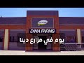 يوم في مزارع دينا