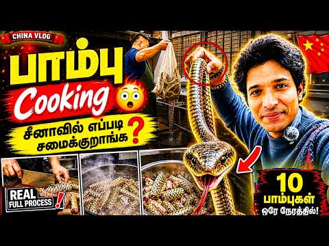 சீனாவில் உயிரோட பாம்பை 🐍 எப்படி சமைக்குறாங்க? 😳 | Snake Cooking Full Process 🐍🔥#chinavlog 
