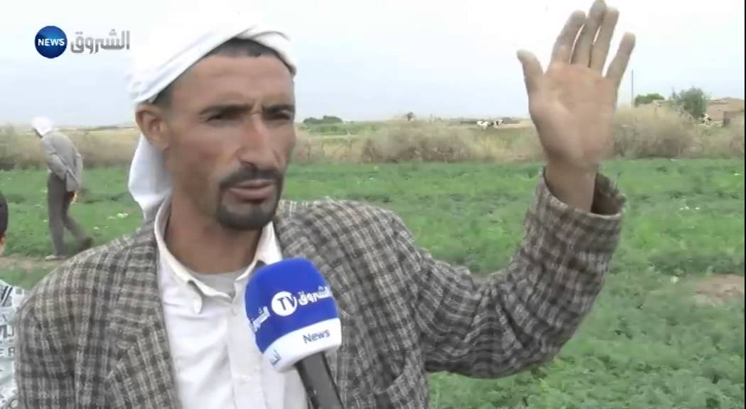 الجلفة / أمطار طوفانية تجرف المحاصيل والمقابر بدار الشيوخ
