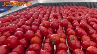 Adjustable Roller Tomato Size Grading Machine | Date, Lychee & Longan Sorter | JCSORT