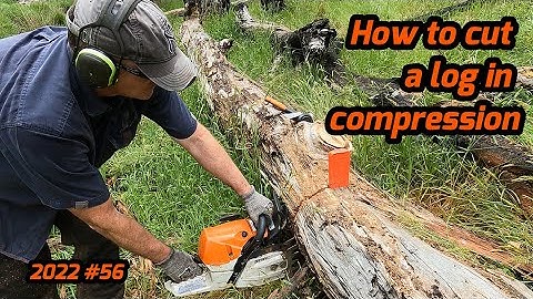 How to stop your chainsaw bar being pinched - Safely cut a log in compression - 2022 #56