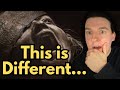 This Might Not Be For Everyone… | Lee Cronin’s The Mummy (2026) | Spoiler-free Movie Review