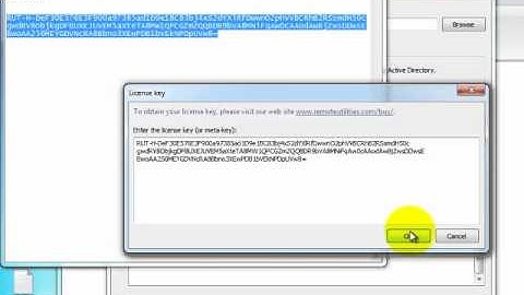 Remote customer support with Remote Utilities