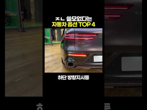 ㅈㄴ '쓸모없다'는 자동차 <strong>옵션</strong> TOP 4