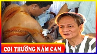 [Tiểu Sử Giang Hồ Việt Nam] - Lộ Diện Gã Giang Hồ Dám Coi Thường Ông Trùm Năm Cam [Kỳ 21]
