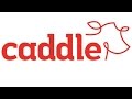 HOW TO USE THE APP CADDLE