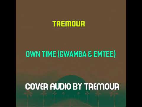 Tremour  Own time COVER reggaegwamba   emtee wwwmalawi music audio nsanzi