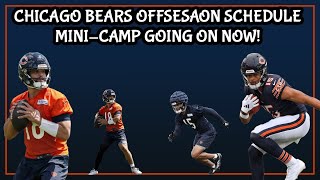 Chicago Bears Offseason Schedule || Mini-Camps & OTAs