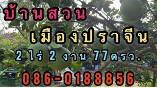 คุ้ม🍀ขายบ้านสวนปราจีนบุรี ตำบลดงขี้เหล็ก อำเภอเมือง✅ เนื้อที่2 ไร่ 2งาน 77 ตารางวา 🌸 ราคา 2,500,000