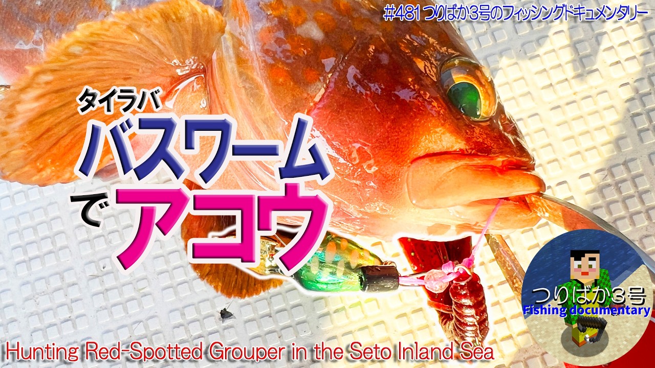 #481【タイラバ封印】バスワームで狙うアコウ