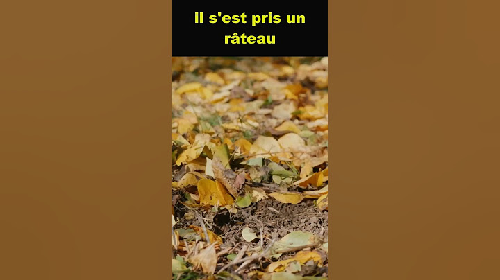 Il s'est pris un râteau 😀 french expression 011 - French Learning