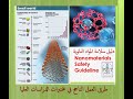 Nanomaterials Safety Guideline دليل سلامة المواد النانوية 
