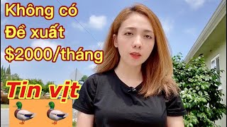 Sẽ không có đề xuất $2000/tháng | Tin vui cho nước Mỹ số ca hồi phục tăng rất nhanh | Cuộc sống Mỹ