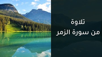 تلاوة من سورة الزمر | فجر اليوم