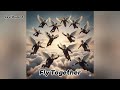 Fly Together (Instrumental) - Levi Dupont