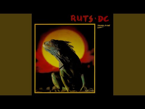 Ruts DC — Different View (2010 Digital Remaster)