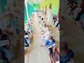 mashallah 🥰 wo Mera nabi Mera nabi@IRCTV#short #shortsfeed #trending #viral #islamic #trend