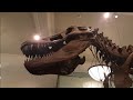 മ്യൂസിയം ഓഫ് നാച്ചുറല് ഹിസ്റ്ററി ടൂര് 🦕🦖🦕🦖 Museum of natural history newyork tour