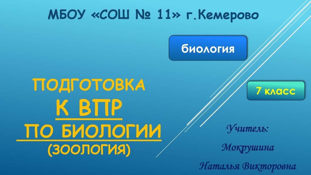 Биология 7 класс подготовка к ВПР Мокрушина НВ МБОУ СОШ 11 - YouTube