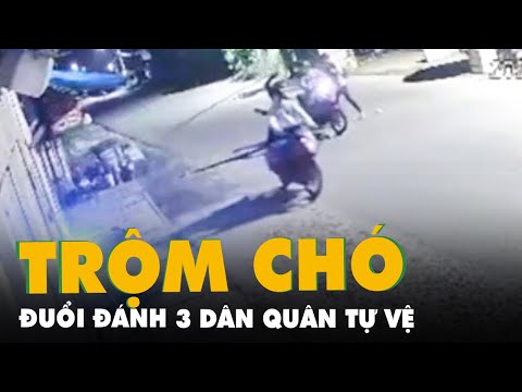 Video Nhóm trộm chó dùng bình xịt hơi cay, gậy đuổi đánh 3... - youtube