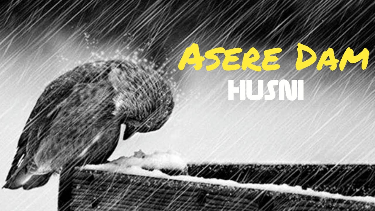 Download Хусни - Асири Дом / Husni - Asere  Dam