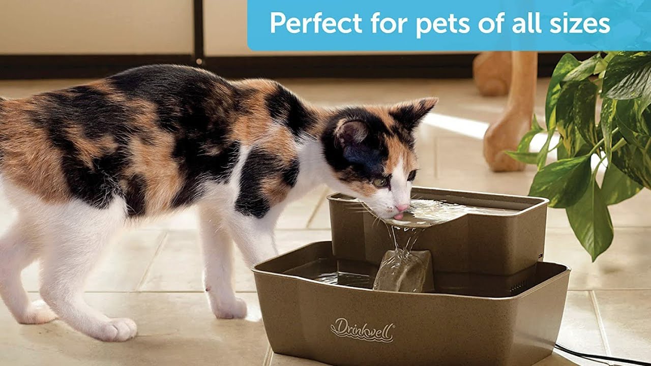 automatic-water-fountain-cat-fountain-stainless-steel-gadget-youtube