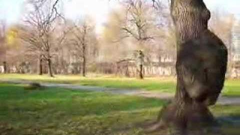 Александр Суханов - Вот и лето прошло
