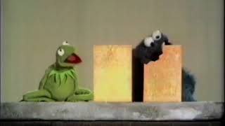 Kermit Lectures On Two Same And Different Yellow Rectangles Alt Take